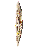 gpdb2.gif (72834 bytes)
